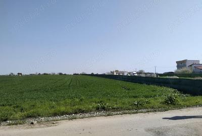 Loturi de teren 348 mp - 4