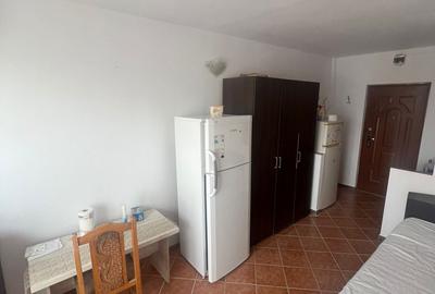 Garsoniera Piata Nicolina! Renovata, curata, gata de mutare - 8