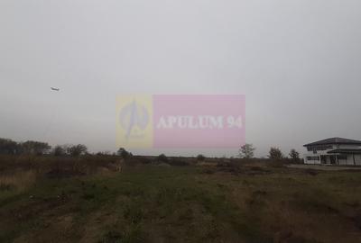 Teren agricol extravilan de 5000 mp, în Corbeanca - 4