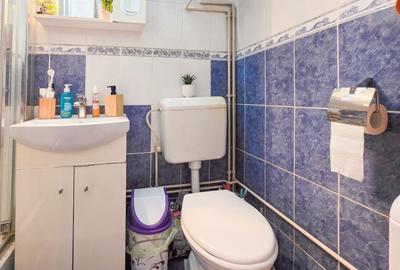 Casă individuală cu 2 camere cu Canalizare în Regie - 11