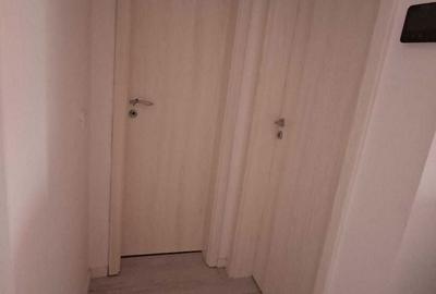Apartament cu 2 camere decomandat în Vișan - 4