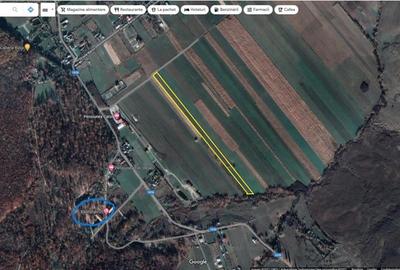 Teren de 11500 mp, în Târgu Neamț - 3