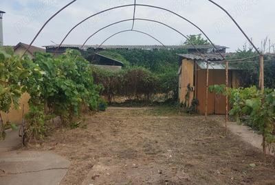 Casă cu 3 camere în Biled - 1