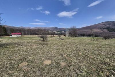 Teren intravilan la baza pădurii Valea Doftanei sat Traisteni (poduri)