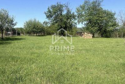 Spațiu comercial, în Cetate - 1