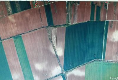 Spațiu comercial, în Otopeni - 3