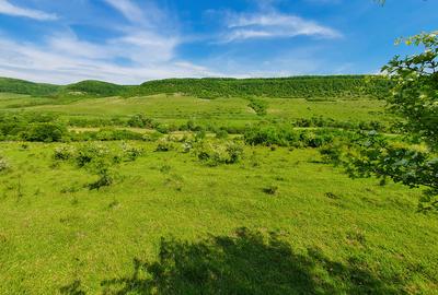 Teren agricol extravilan de 2800 mp, în Ciumăfaia - 1
