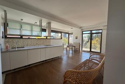Domenii - Casin - Arcul de Triumf - direct proprietar - 4