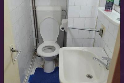 Apartament cu 2 camere decomandat în Govândari - 6