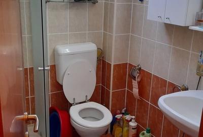 Apartament cu 2 camere semidecomandat în Bușteni - 8