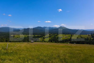 Teren de 2817 mp, în Piatra - 6