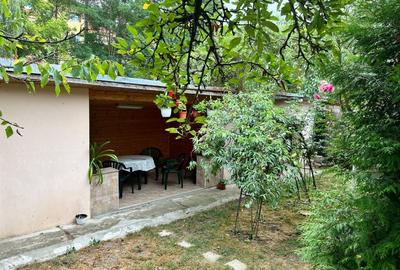 Vanzare Casa Govora | centrala termica | 366mp curte libera - 2