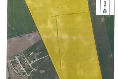 Spațiu comercial, în Corbeanca - 1