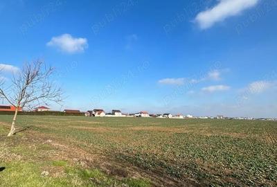Teren de 500 mp, în Giroc