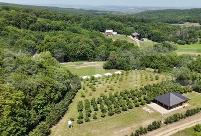 Glamping, piscicultura si turism spiritual - totul intr-un singur loc - 2