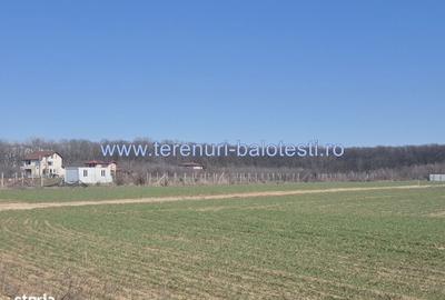 Spațiu comercial, în Balotești - 6