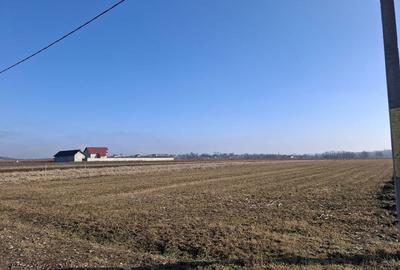 Spațiu comercial, în Central