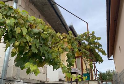 Casă cu 3 camere decomandat în Central - 2