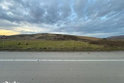 Teren de 6000 mp, în Cojocna - 3