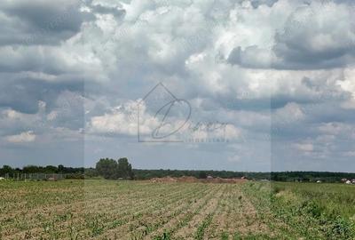 Teren intravilan Ciocanesti Cretu - 9282 mp divizat in 15 loturi - 5