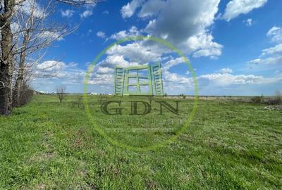 Teren Construcții intravilan de 10013 mp, în Pielești - 2