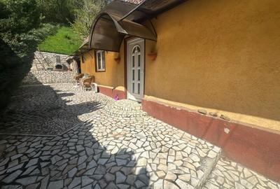 Casă individuală cu 1 camere cu Canalizare în Cugir - 1