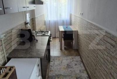 Garsonieră în Paltin - 4