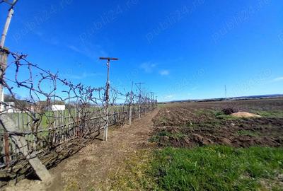 Casa de vanzare + anexe - 8