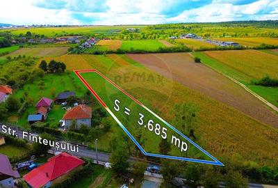 Teren 3,685mp Somcuta Mare / Strada Mocirii - 5