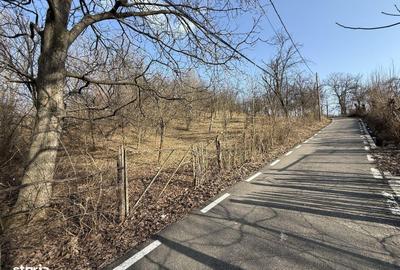 Spațiu comercial, în Central - 15