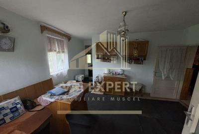 CASA 7 CAMERE TEREN 468 MP BUGHEA DE SUS ARGE? - 12