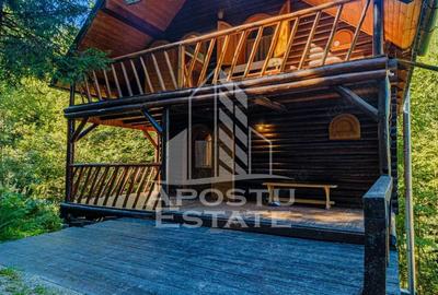 Pensiune | Casa de vacanta | 6 camere | 150mp utili | Statiunea Rausor - 5