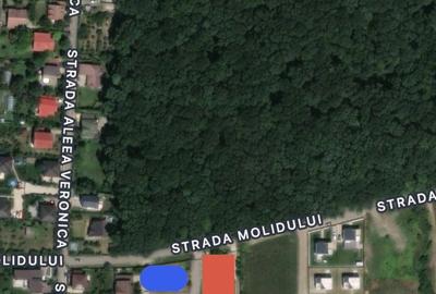 Teren de 540 mp, în Corbeanca - 5