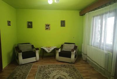Casa tradi?ionala din piatra ?i lemn, 200 mp utili, teren 850 mp Cavnic - 10