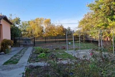 Casă cu 3 camere cu Teren 1522 Mp în Cenad - 2