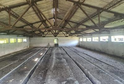 Teren 3.400 mp + 2 hale - Spațiu ideal pentru afacerea ta - 1