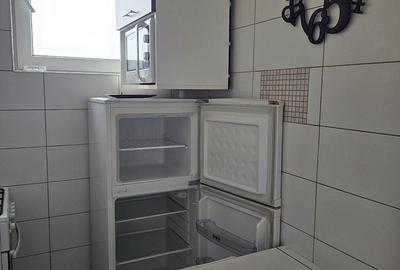 Garsonieră în Tei - 4