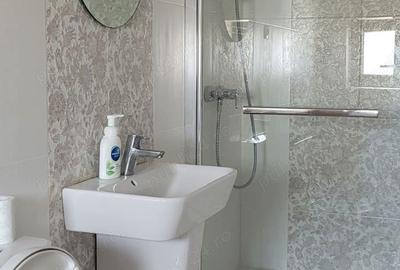 Vand vila Sf Ilie , Scheia Suceava - 2