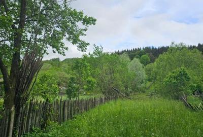 TEREN VANZARE VALEA DOFTANEI - 3