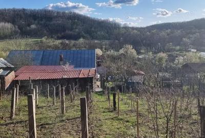 Casă cu 3 camere cu Teren 1558 Mp în Central - 19