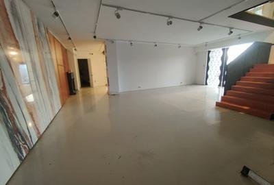 ION MIHALACHE - Piata Chibrit inchiriere/vanzare spatiu show-room 1150 mp - 2