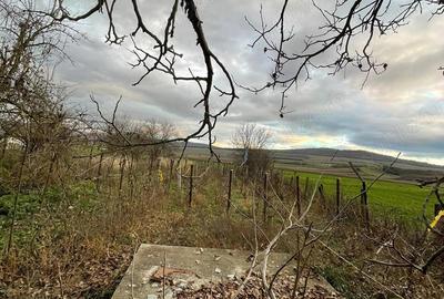 Vand Casa Cisteiu de mures - 3