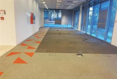 Inchiriere birouri de clasa A in myHive S-Park - 12