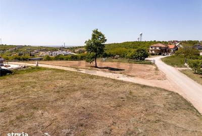 Teren de 1388 mp, în Paleu - 3