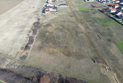 Teren de 659 mp, în Moșnița Nouă