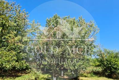 Vila Ialomita -Livedea lac - 16