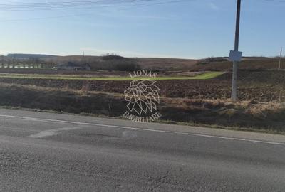 Teren agricol intravilan de 7800 mp, în Livada (Iclod) - 6