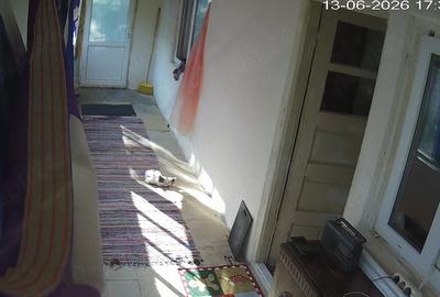 Casă cu Teren 5000 Mp în Cornu - 2