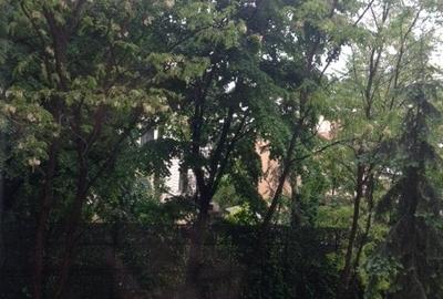 Apartament in bloc stradal Magheru ideal firma/birou - 9