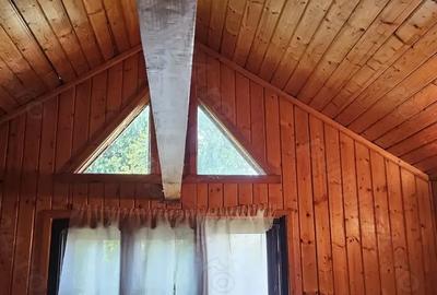 Casa de vanzare in loc. Di?e?ti, com. Filipe?tii de Padure, jud. Prahova - 9